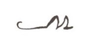 SMAGTW logo