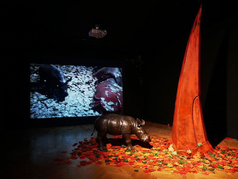 Circle of Life exhibition installation view