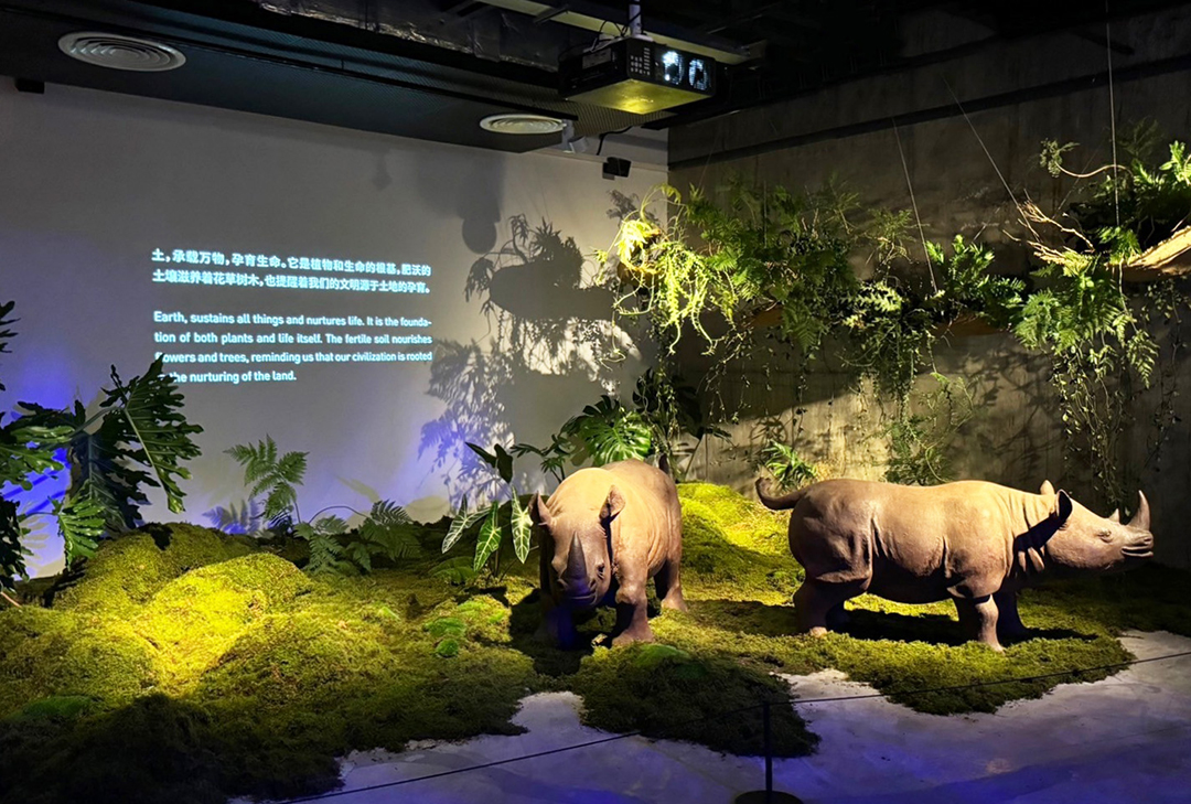 施力仁《犀牛小姐》《犀牛小子》於2024年上海靜安雕塑公園《靈犀再現》展出之現場裝置照